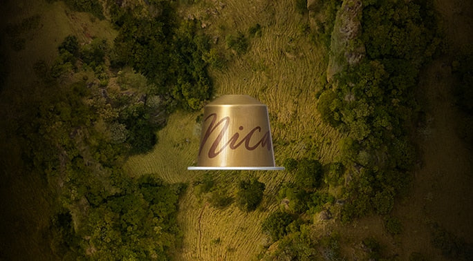 Nicaragua — 10 Capsules