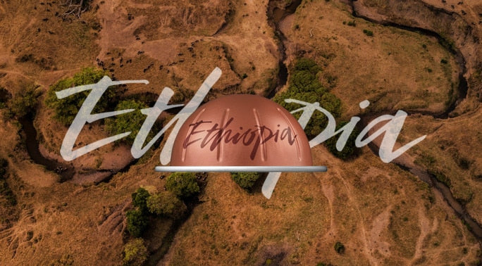 Ethiopia — 10 Capsules